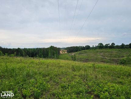 Farm and Ranch in Winston County, Alabama