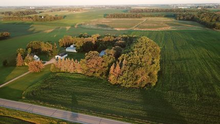 Timberland Property in McLeod County, Minnesota
