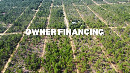 Undeveloped Land in Putnam County, Florida
