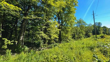 Undeveloped Land in Mille Lacs County, Minnesota