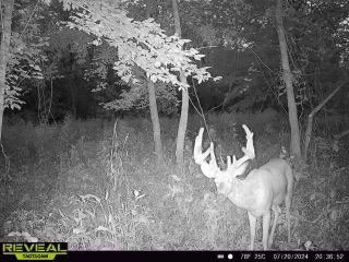 Land in Jefferson County, Illinois
