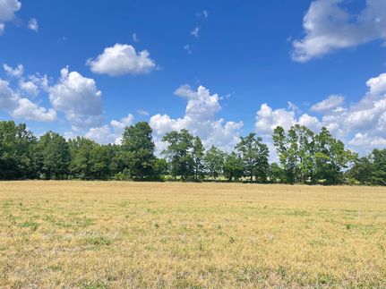 Farm and Ranch in Dillon County, South Carolina