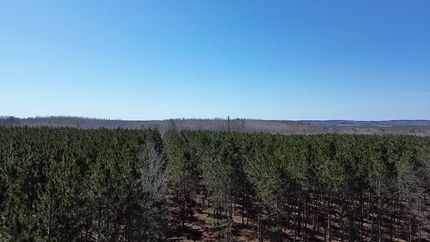 Timberland Property in Washburn County, Wisconsin