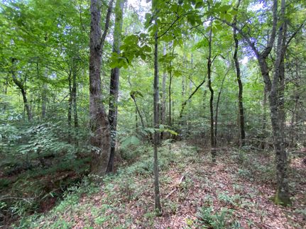Recreational Property in Lee County, Alabama