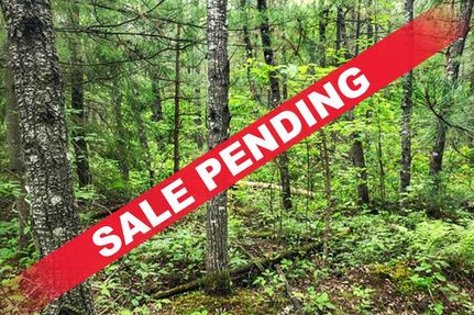 Land in Oneida County, Wisconsin