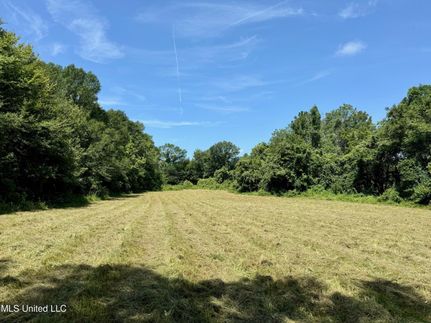 Undeveloped Land for sale in Madison County, Mississippi