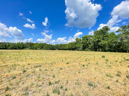 Recreational Property in Dillon County, South Carolina