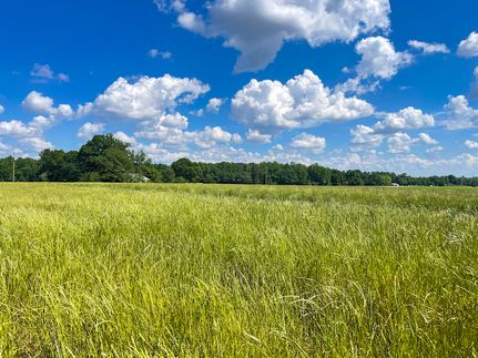 Farm and Ranch in Dillon County, South Carolina