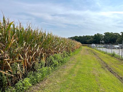 Undeveloped Land in Lenoir County, North Carolina