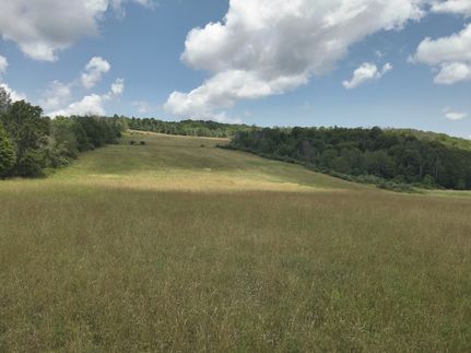 Undeveloped Land in Bradford County, Pennsylvania