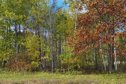 Undeveloped Land in Mille Lacs County, Minnesota