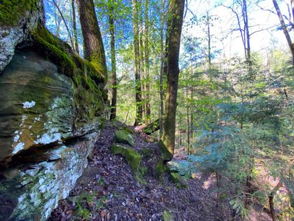 Recreational Property in Winston County, Alabama