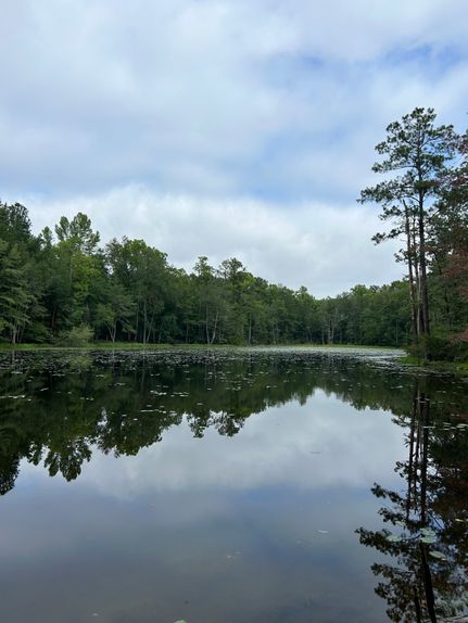 Waterfront Property in Kershaw County, South Carolina