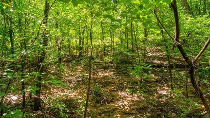 Lakefront Property in Franklin County, Missouri