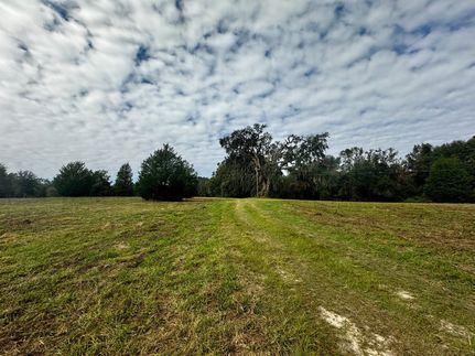 Land in Madison County, Florida