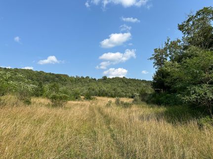 Hunting Property in Cambria County, Pennsylvania