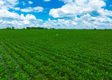 Farm and Ranch in Union County, Ohio