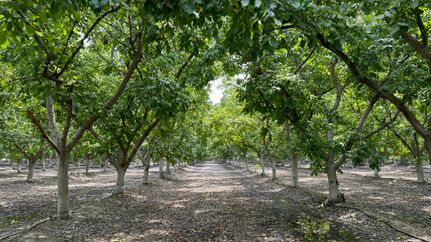 House for sale in Tulare County, California