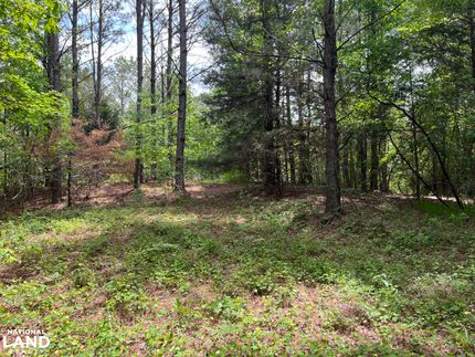 Farm and Ranch in Tuscaloosa County, Alabama