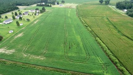 Undeveloped Land in Lenoir County, North Carolina
