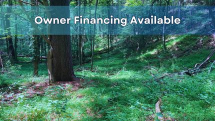 Farm and Ranch in Ashe County, North Carolina