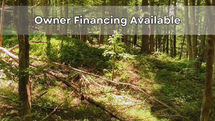 Farm and Ranch in Ashe County, North Carolina