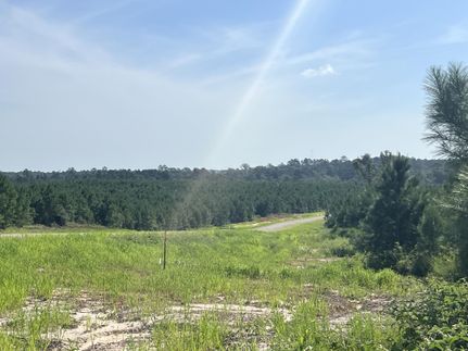 Recreational Property in Polk County, Texas