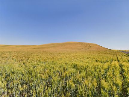 Farm and Ranch in Nez Perce County, Idaho
