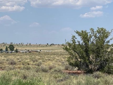 Undeveloped Land in Apache County, Arizona