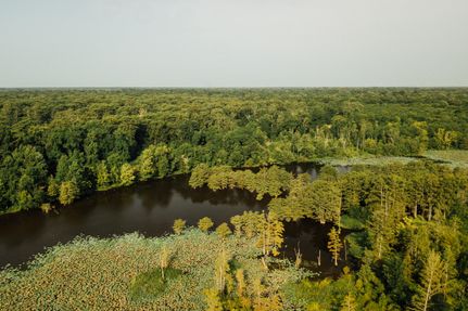 Farm and Ranch in Bolivar County, Mississippi