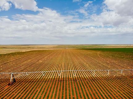 Farm and Ranch in Yoakum County, Texas
