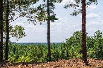 Land for sale in Lewis County, Tennessee