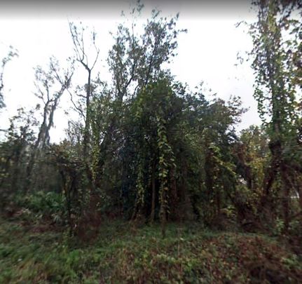 Undeveloped Land in Saint Johns County, Florida