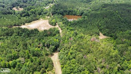 Farm and Ranch in Lowndes County, Alabama