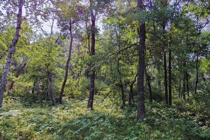 Undeveloped Land in Mille Lacs County, Minnesota