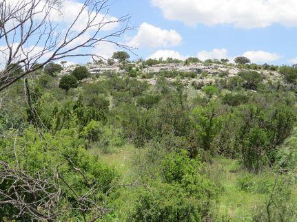 Farm and Ranch in Pecos County, Texas