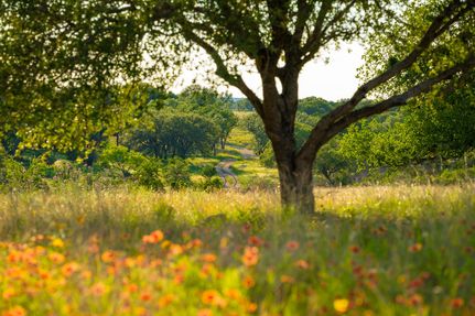 Farm and Ranch in Burnet County, Texas