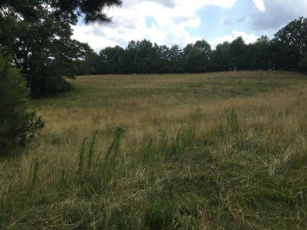 Undeveloped Land in Oconee County, South Carolina