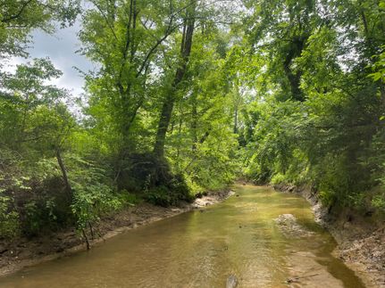 Undeveloped Land in Pittsylvania County, Virginia