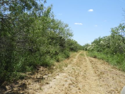 Recreational Property in Jim Wells County, Texas
