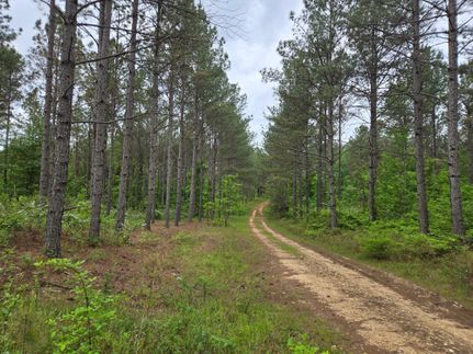 Farm and Ranch in Franklin County, Alabama