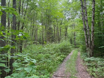 Land for sale in Oneida County, New York