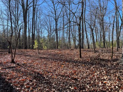 Undeveloped Land in Spartanburg County, South Carolina