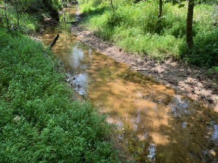 Undeveloped Land in Anderson County, South Carolina