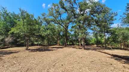 Land for sale in Burleson County, Texas