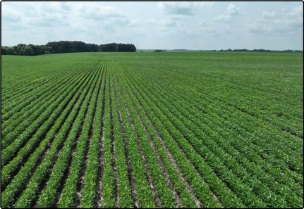 Land in Blue Earth County, Minnesota