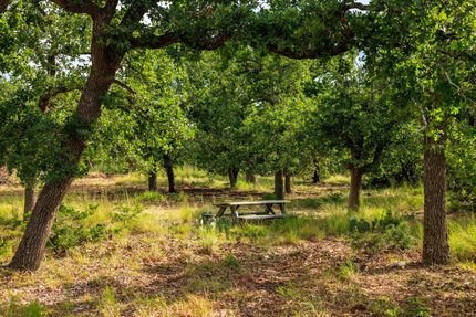 Land for sale in Gillespie County, Texas