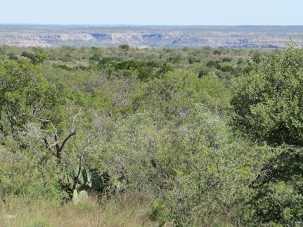 Farm and Ranch in Val Verde County, Texas