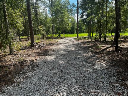 Farm and Ranch in Madison County, Florida