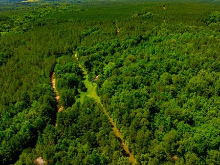 Undeveloped Land in Attala County, Mississippi